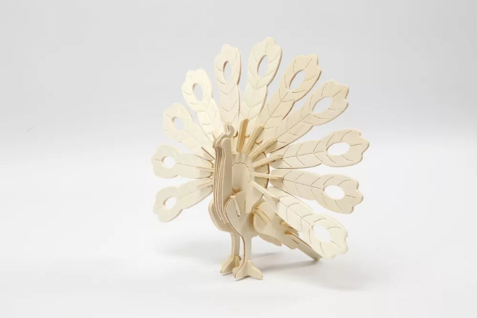 3D medinis konstruktorius, POVAS