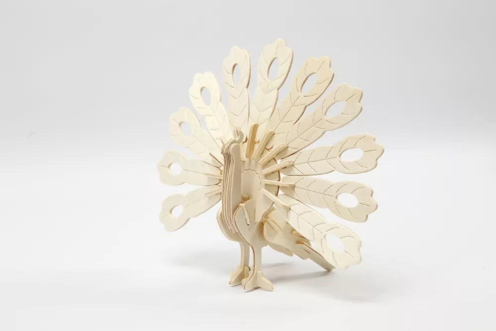 3D medinis konstruktorius, POVAS