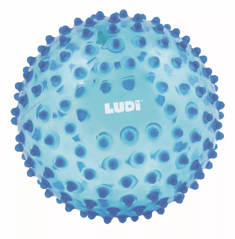 LUDI mankštos kamuolys, mėlynas 20 cm