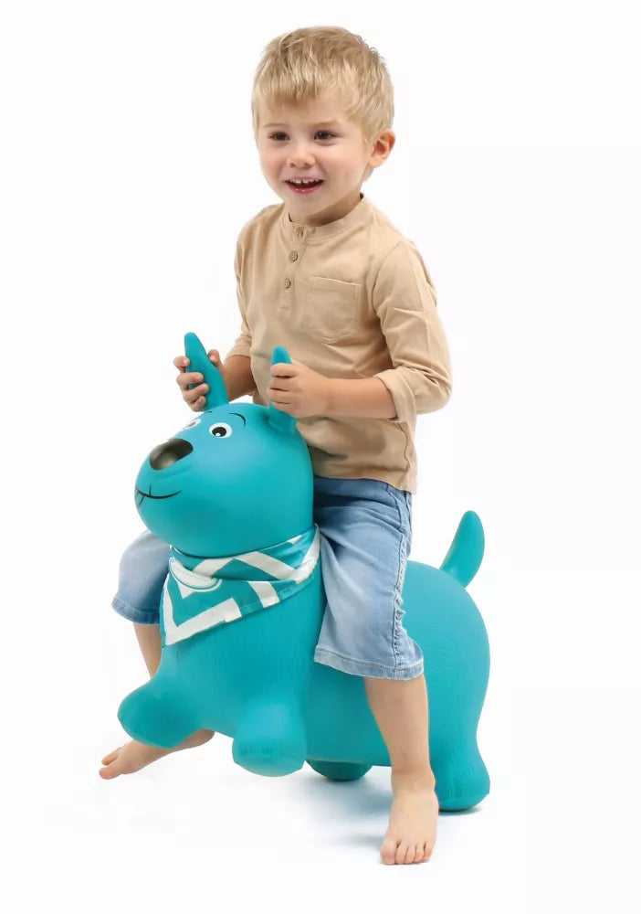 LUDI šokliukas, šuniukas, mėtinis