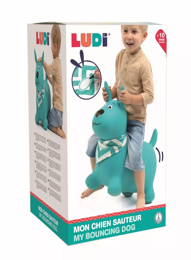 LUDI šokliukas, šuniukas, mėtinis