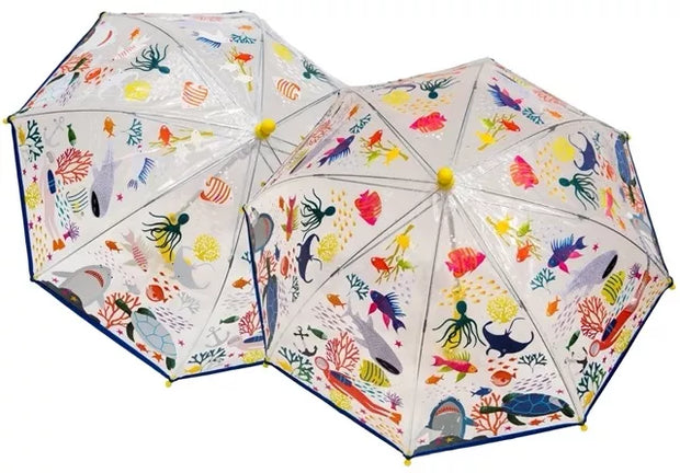 Magiškas skėtis, Jūra, skaidrus