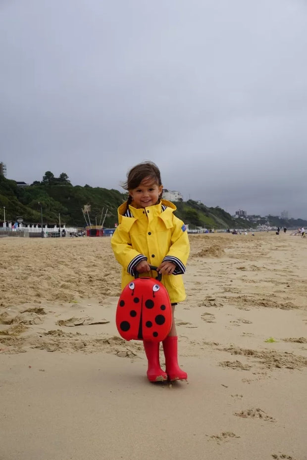 Mokomasis nešiojamas naktipuodis, Boružėlė