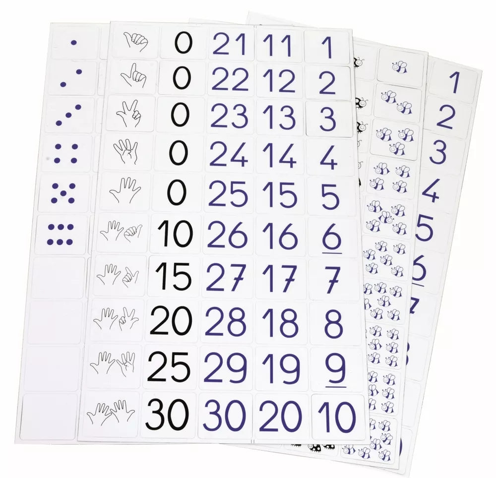 SEPP magnetiniai skaičiai, 3-5 metai