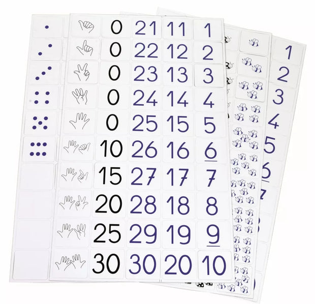 SEPP magnetiniai skaičiai, 3-5 metai