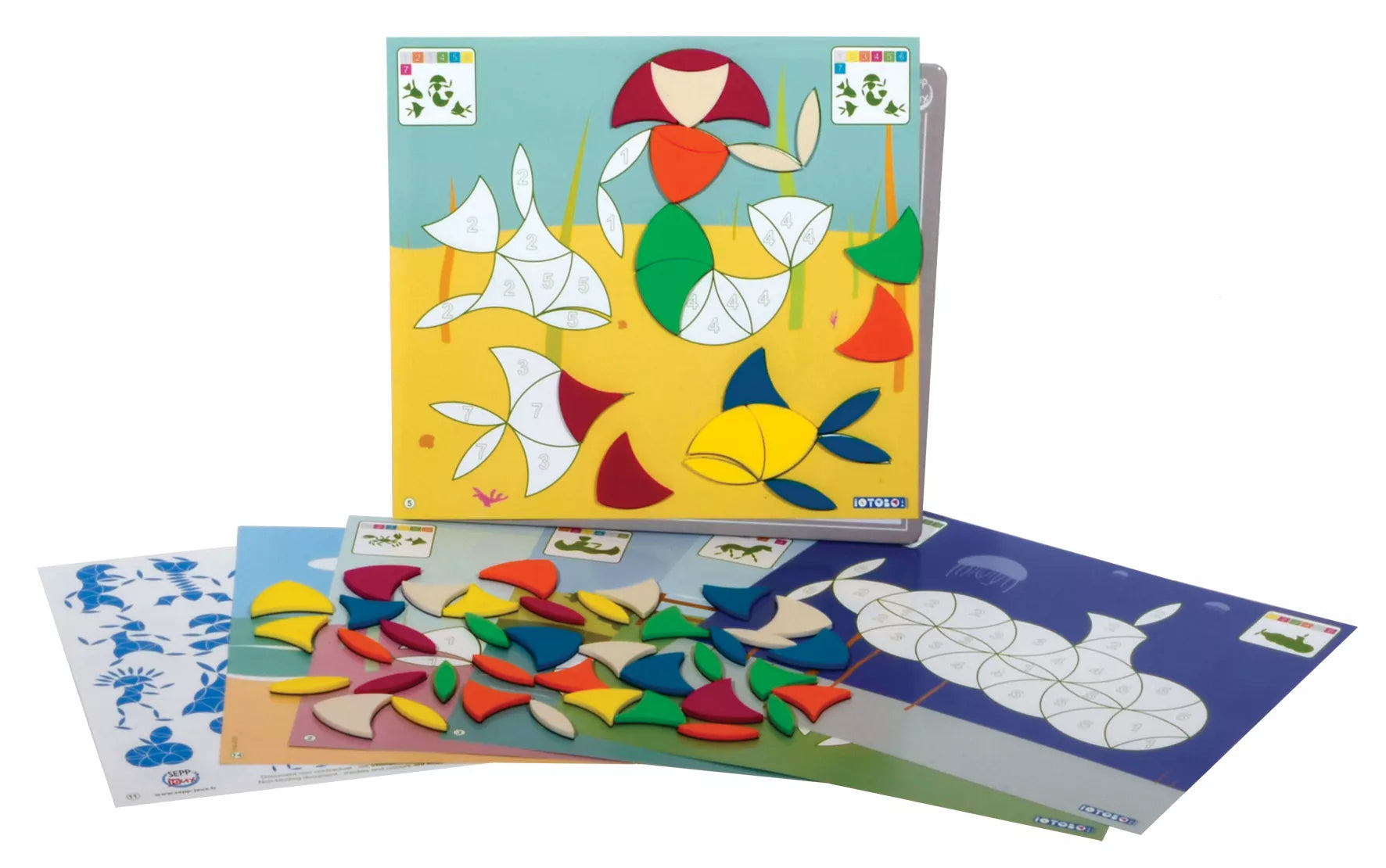 SEPP magnetinis žaidimas 6 spalvų, 4+