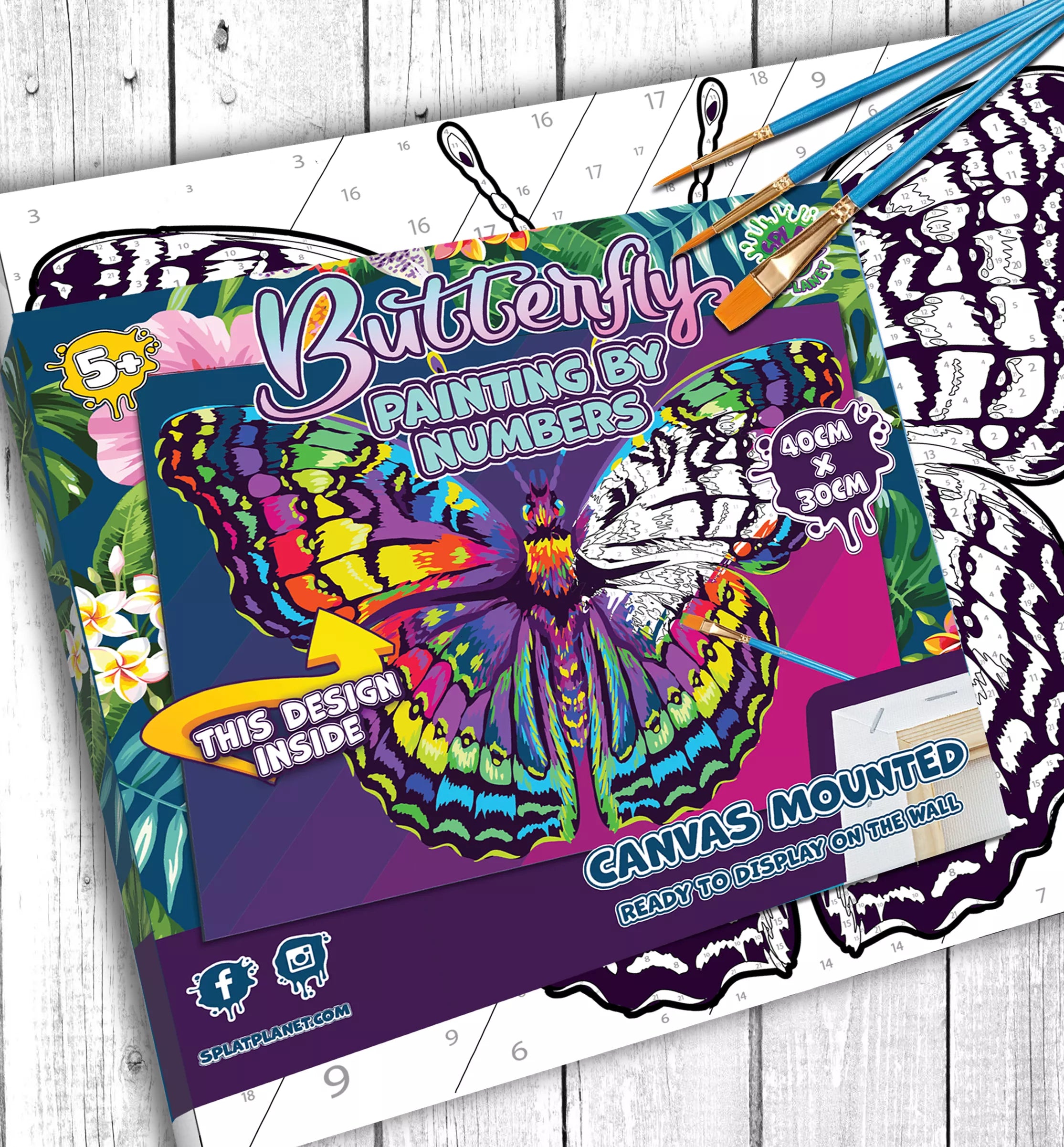 Splat Planet tapyba pagal skaičius, DRUGELIS 30x40 cm