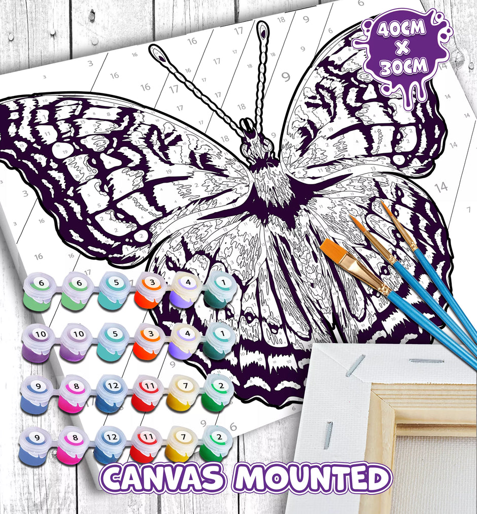 Splat Planet tapyba pagal skaičius, DRUGELIS 30x40 cm