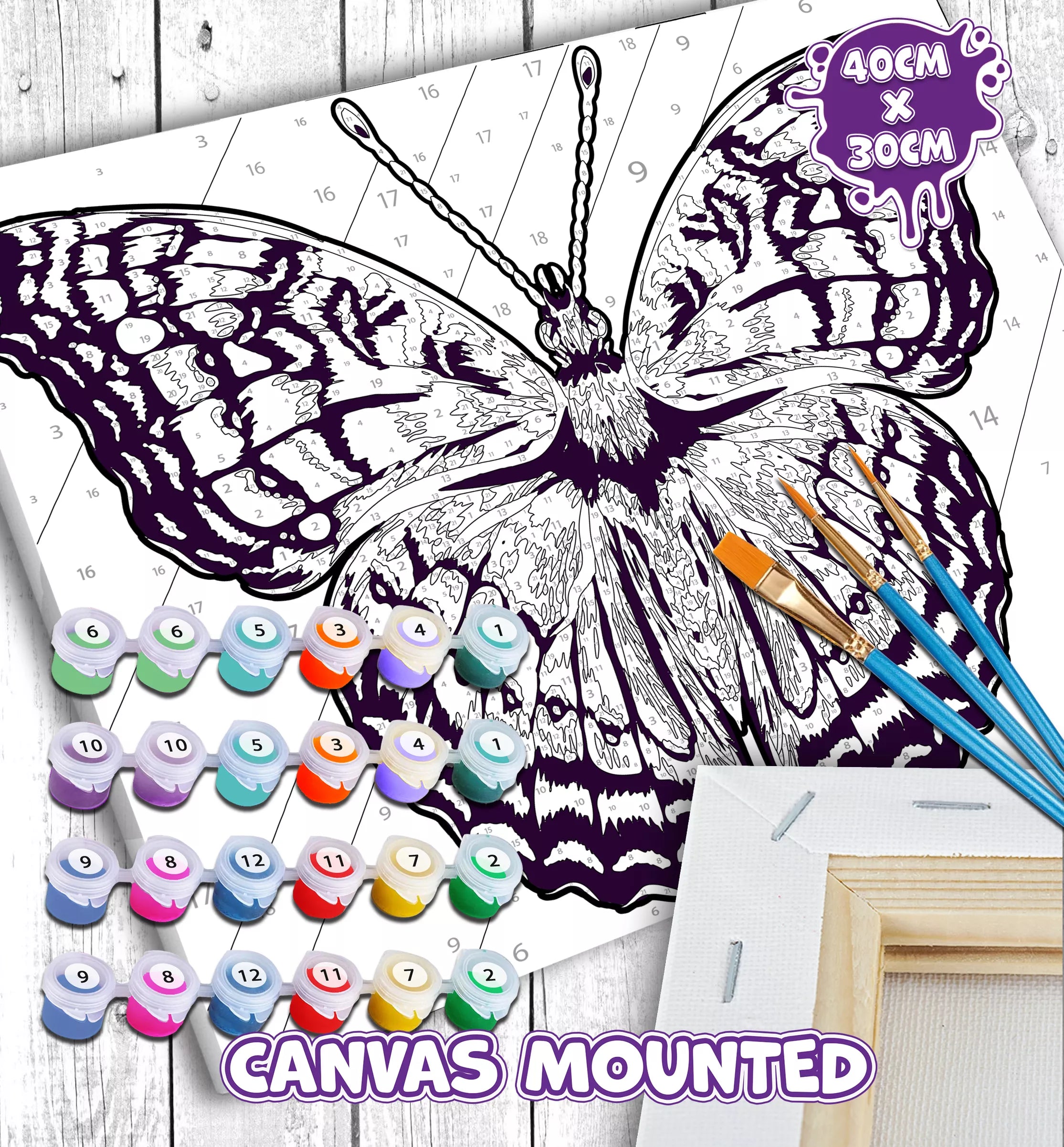 Splat Planet tapyba pagal skaičius, DRUGELIS 30x40 cm