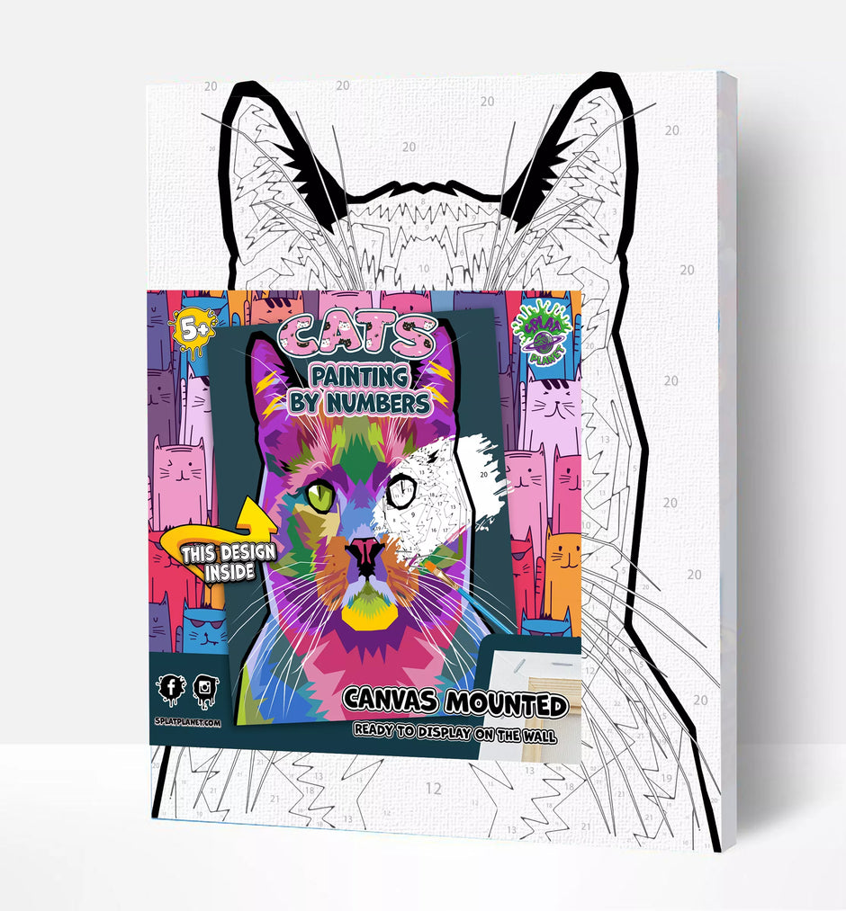 Splat Planet tapyba pagal skaičius, KATĖ 30x40 cm