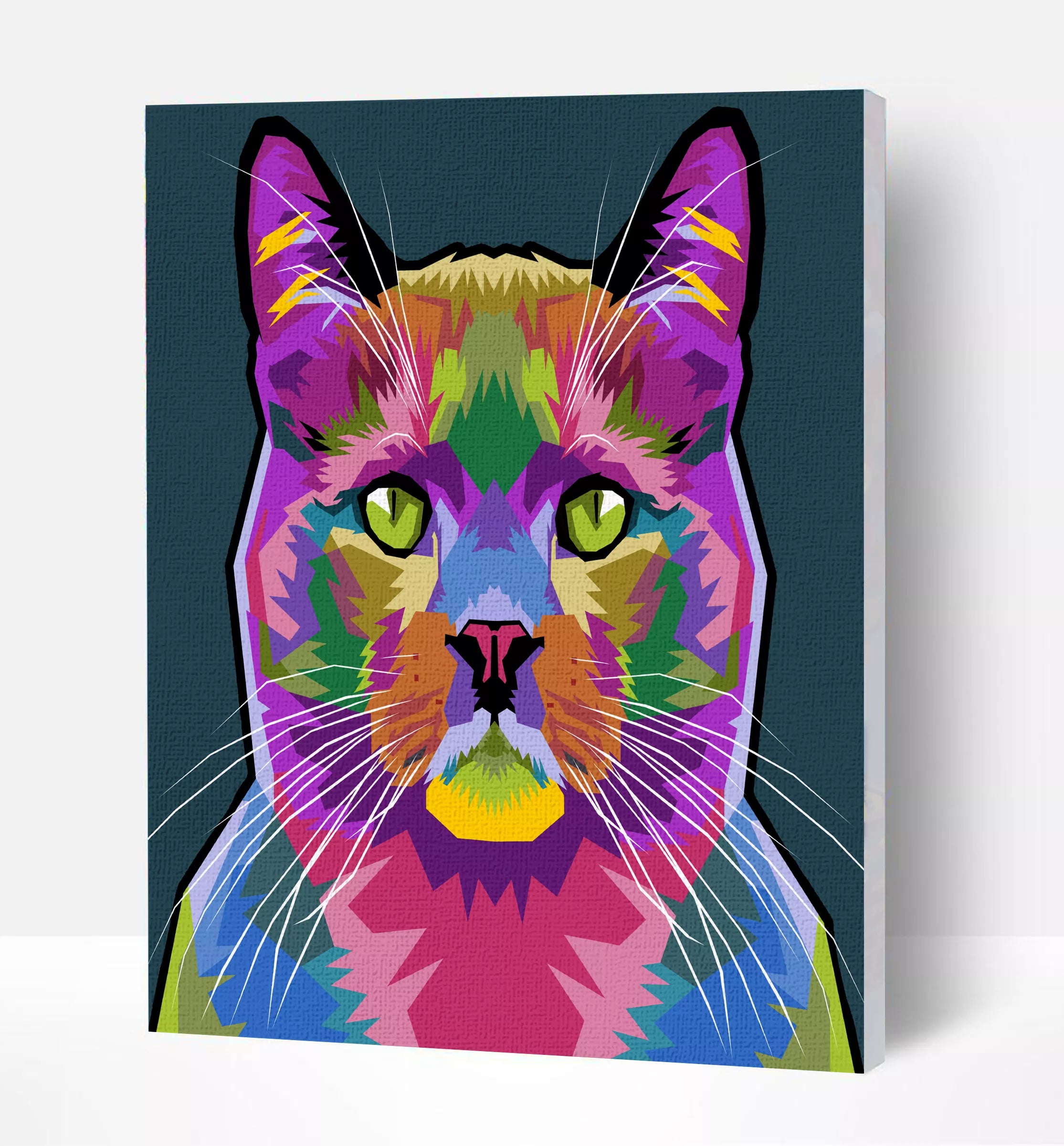 Splat Planet tapyba pagal skaičius, KATĖ 30x40 cm