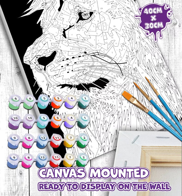 Splat Planet tapyba pagal skaičius, LIŪTAS 30x40 cm