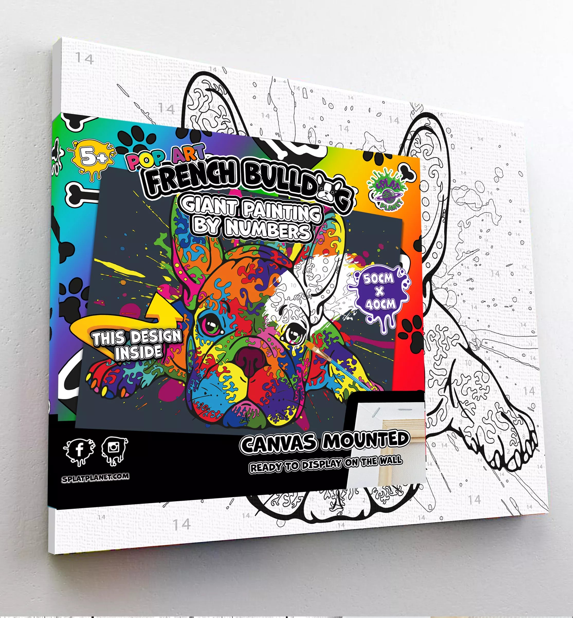 Splat Planet tapyba pagal skaičius, PRANCŪZŲ BULDOGAS 30x40 cm