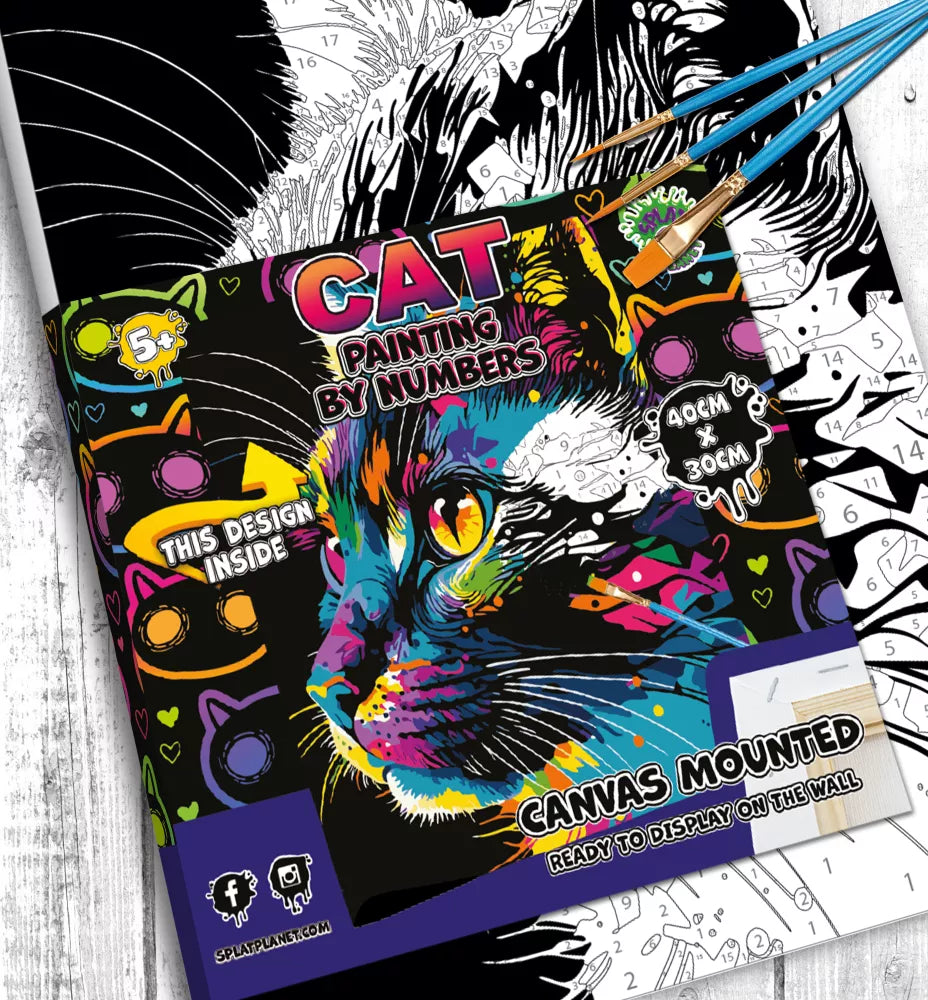 Splat Planet tapyba pagal skaičius, RYŠKI KATYTĖ 30x40 cm