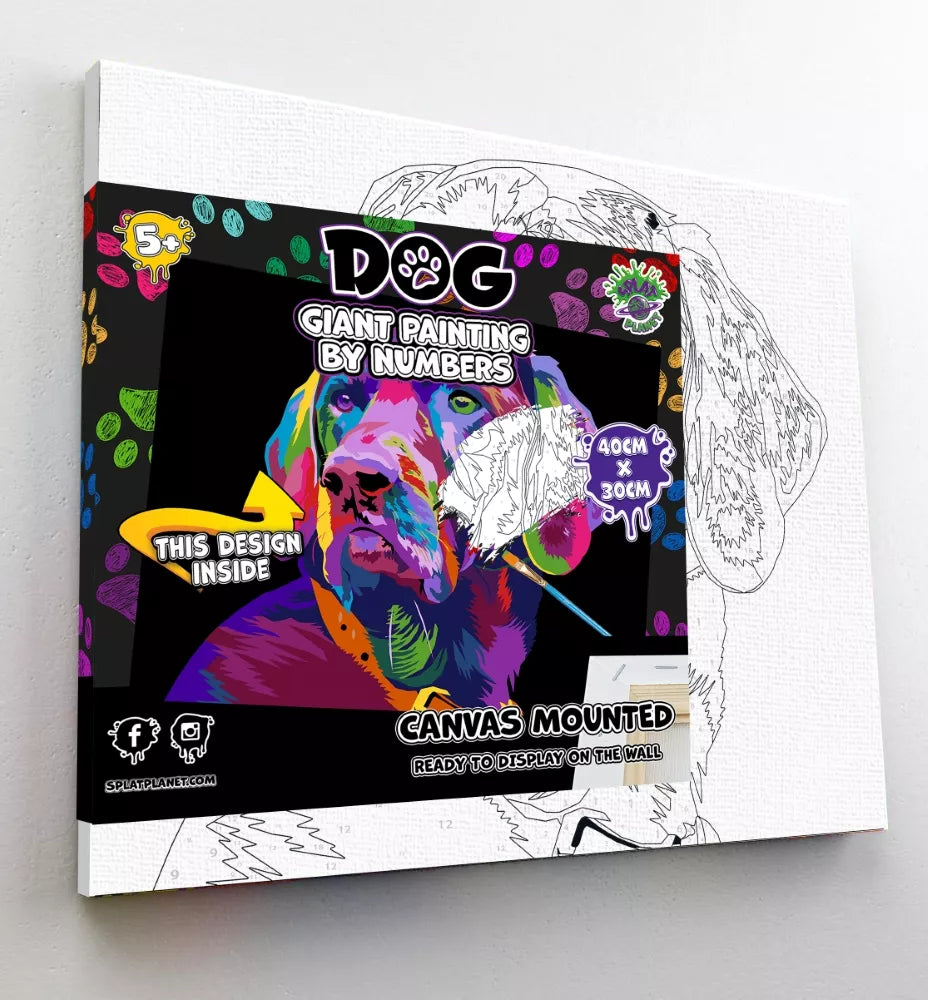 Splat Planet tapyba pagal skaičius, ŠUO 30x40 cm